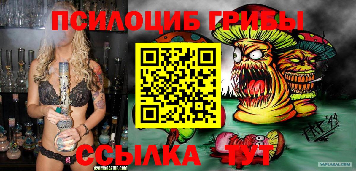 Томск  Псилоцибиновые грибы Cubensis  Вход с VPN 