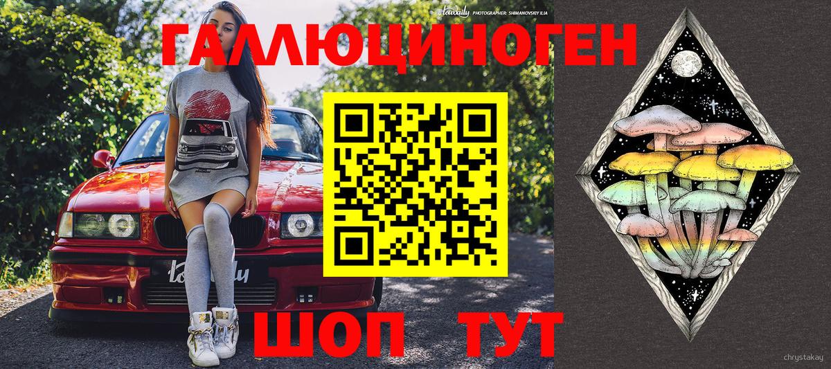 Галлюциногенные грибы мухоморы Томск